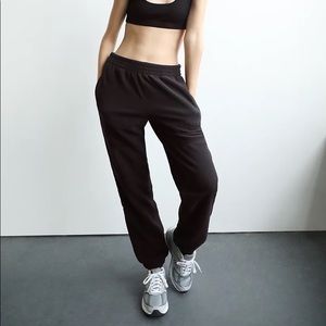Aritzia Polar Fleece Jogger